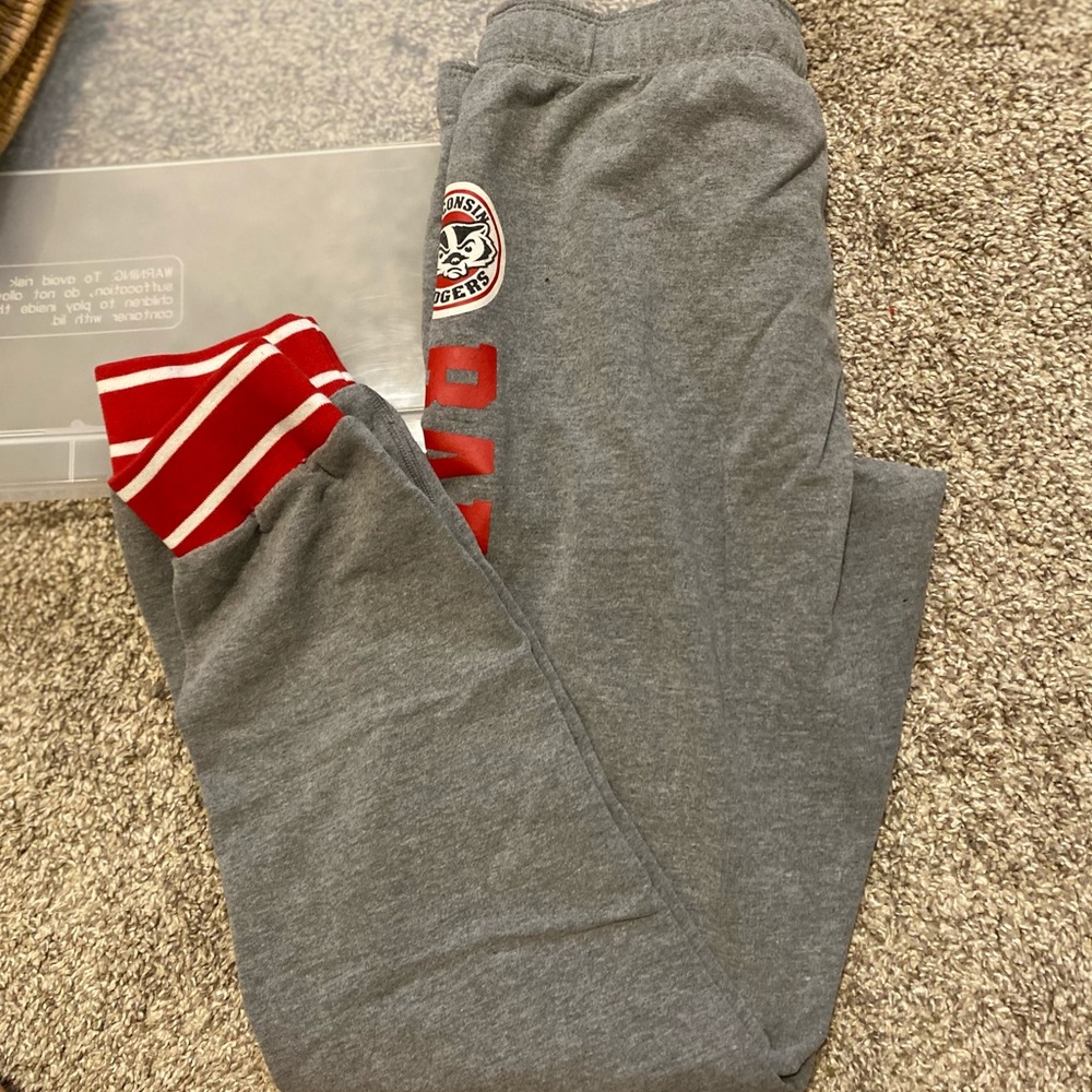 Wisinconsin badgers joggers from Pink